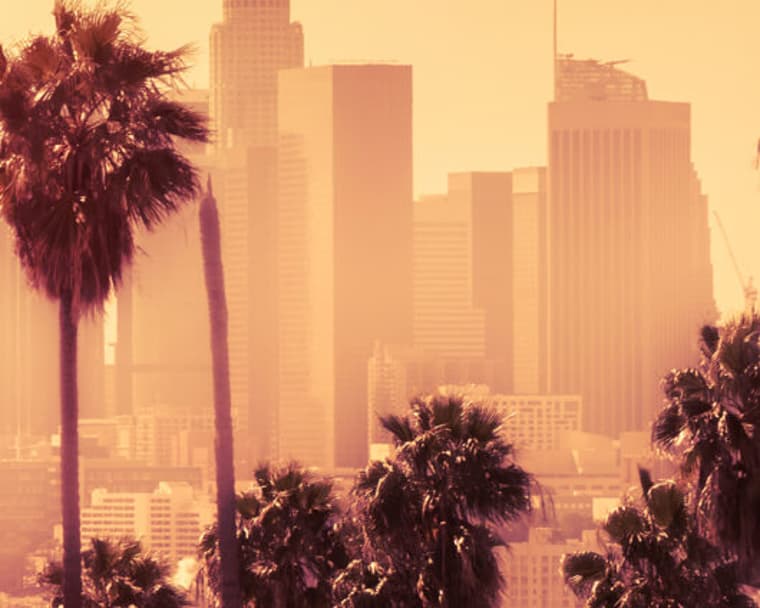 Palm trees and Los Angeles skyline